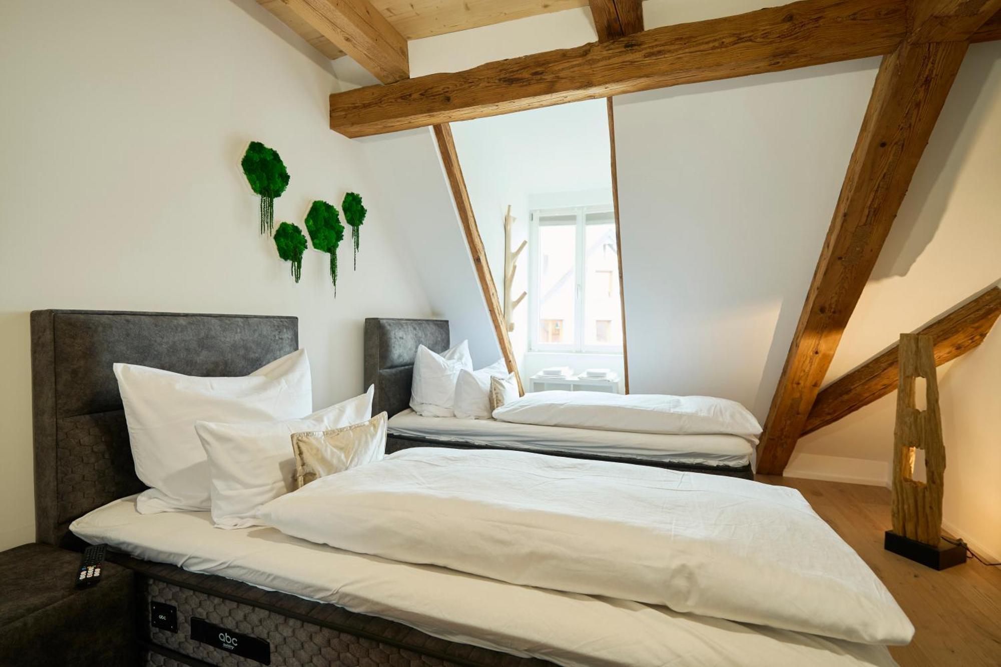 Wood World Luxury - Massage - Bergblick - Tranpolin- Parken Lägenhet Markdorf Exteriör bild